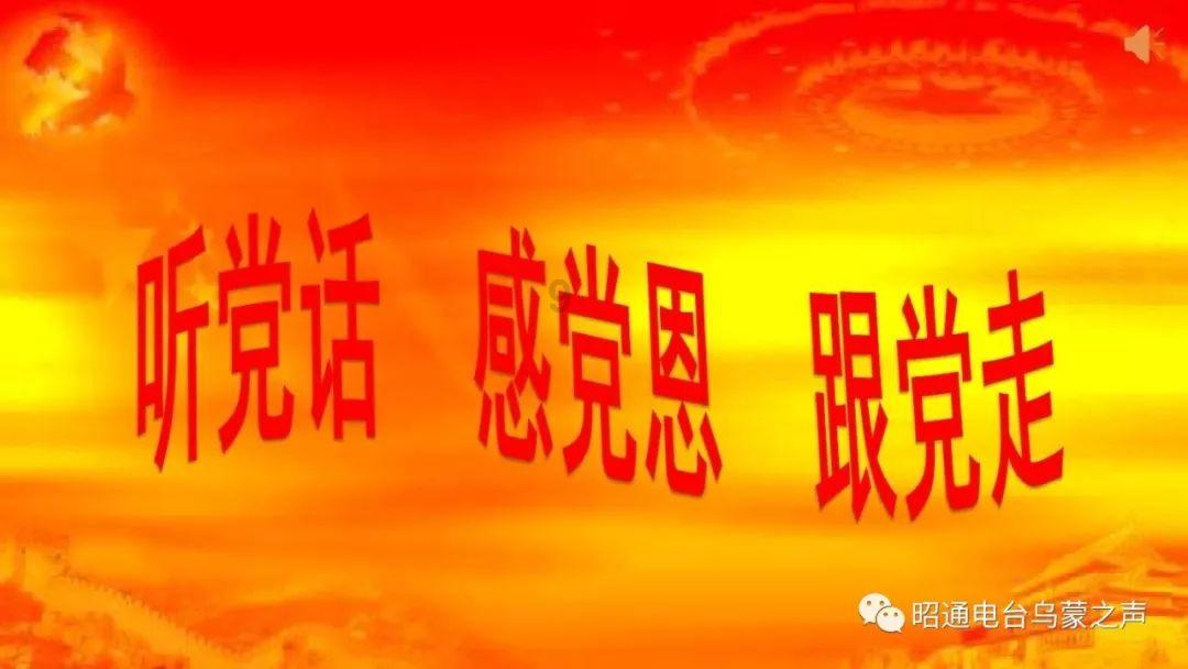 救援瓢虫宝宝